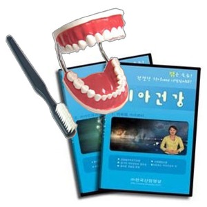 치아건강 세트(EBK3-312) CD+치아모형 ▶ 인체모형 교육용모형 치과모형 보건교육 교육모형 치아교육 양치교육 치아관리