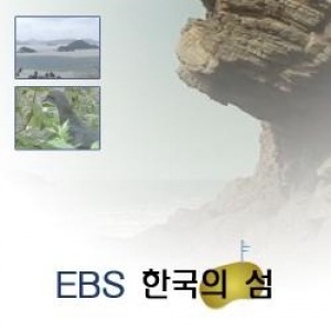 [DVD]EBS 한국의 섬 (녹화물)(DVD 5장),영상교육자료 학교 교육용 영상자료 교육용자료 교육용DVD